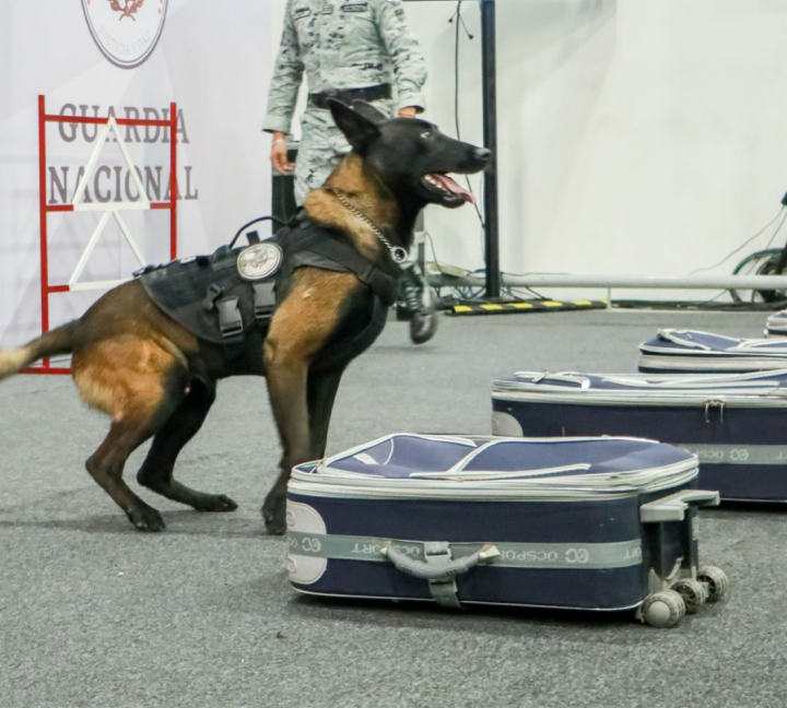 Expo Seguridad México